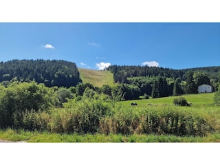 Apartment Willingen Umgebung 40