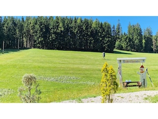 Apartment Willingen Umgebung 41