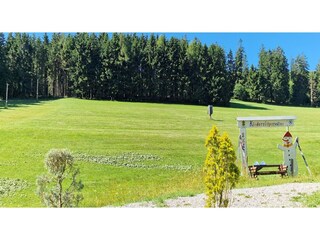 Appartement Willingen Omgeving 41