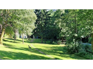 Apartment Willingen Umgebung 42