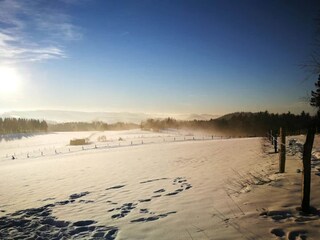 Casa per le vacanze Winterberg Ambiente 23
