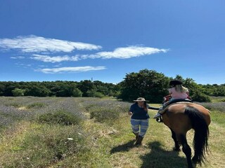 Appartement Rabac Environnement 39
