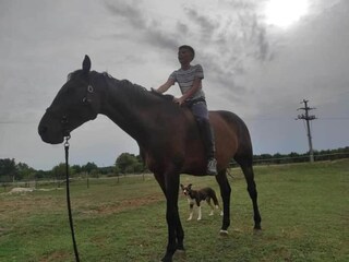 Appartement Rabac Omgeving 26