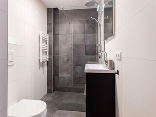 Villa Uitwellingerga Características 13