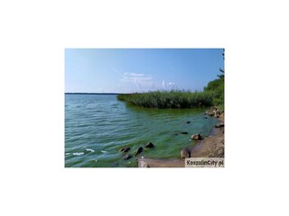 Parc de vacances Podamirowo Environnement 14