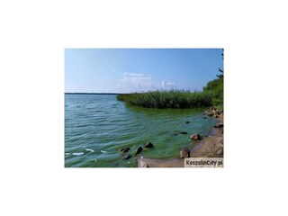 Parc de vacances Podamirowo Environnement 13