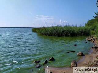 Parc de vacances Podamirowo Environnement 17