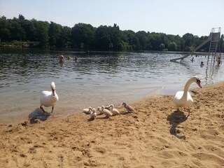 Strandbad Plötzensee - 10 Minuten zu Fuß