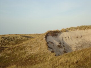 Casa per le vacanze Julianadorp Ambiente 22