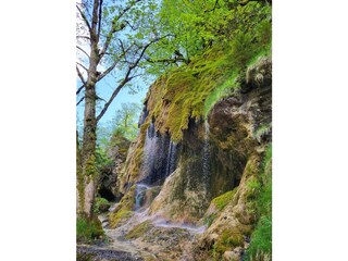 Scheierfälle