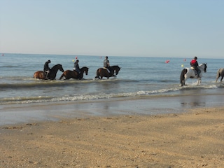 Holiday house De Panne Environment 25