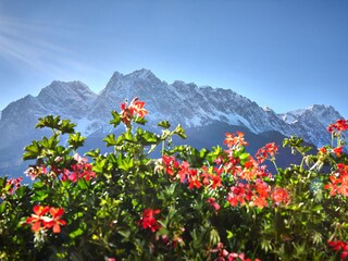 Genießen Sie die Aussicht auf deutschlands höchtem Berg