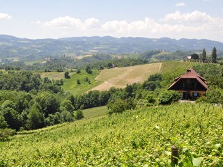 Appartamento per vacanze Gleinstätten Ambiente 28