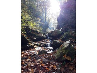 Appartamento per vacanze Gleinstätten Ambiente 29