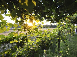 Appartamento per vacanze Gleinstätten Registrazione all'aperto 15