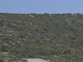 Holiday room Verunić  3