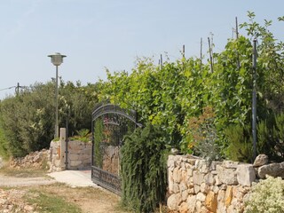 Holiday room Verunić  8