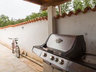 Ferienhaus Lovrecica  10