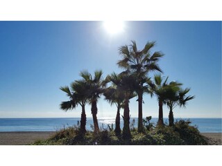 Appartement Torrox Costa Kenmerken 9