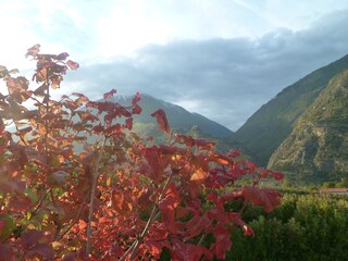 Herbstimpressionen Richtung Juval