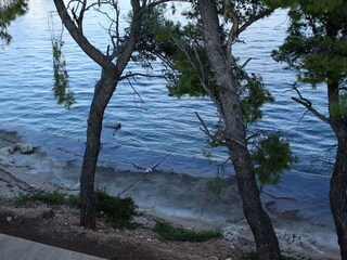 Apartment Rogoznica  18