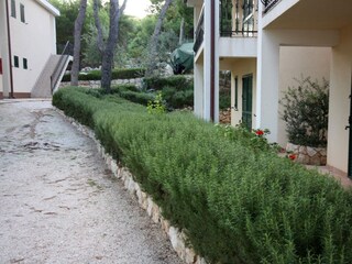 Apartment Rogoznica  4