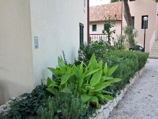 Apartment Rogoznica  6