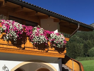 Sommeraufnahme
