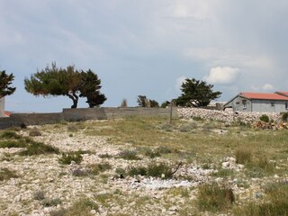 Apartment Kustici  11