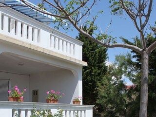 Apartment Kustici  12