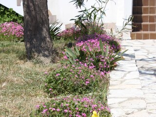 Apartment Kustici  13