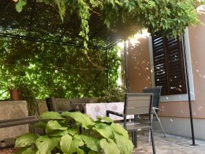 Two bedroom apartment with terrace Mali Lošinj, Lošinj A-20783-a