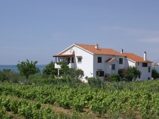 Apartment Povljana  3