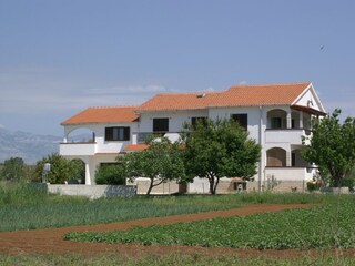 Apartment Povljana  4