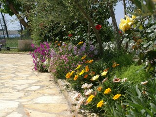 Apartment Povljana  9