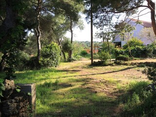 Apartment Basina  19