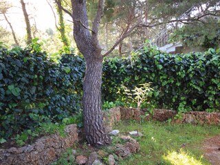 Apartment Basina  20