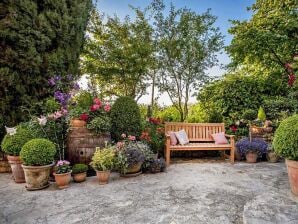 Apartment One bedroom apartment with balcony Rovinj A-23505-b