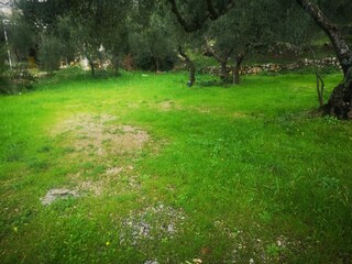 Apartment Tucepi  11