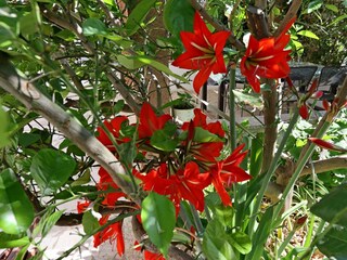 Holiday room Banjol  11