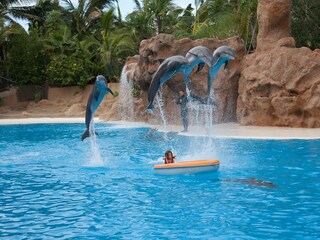 Appartamento per vacanze Puerto de la Cruz Ambiente 17