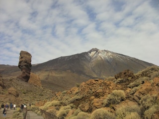 Appartamento per vacanze Puerto de la Cruz Ambiente 18