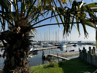 Holiday house Herkingen Environment 23