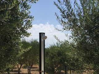 Apartment Povljana  10