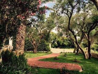 Apartment Povljana  13