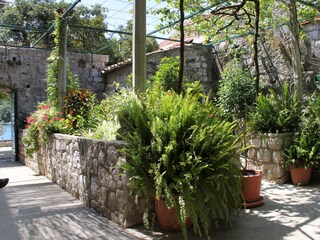 Ferienzimmer Zaton bei Dubrovnik  13