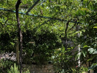 Ferienzimmer Zaton bei Dubrovnik  14