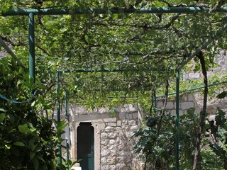 Ferienzimmer Zaton bei Dubrovnik  15