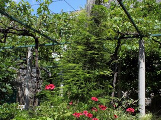 Ferienzimmer Zaton bei Dubrovnik  21