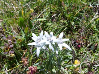 Appartamento per vacanze Holzgau Ambiente 23